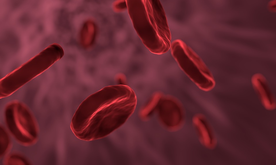 1200 Rode bloedcellen