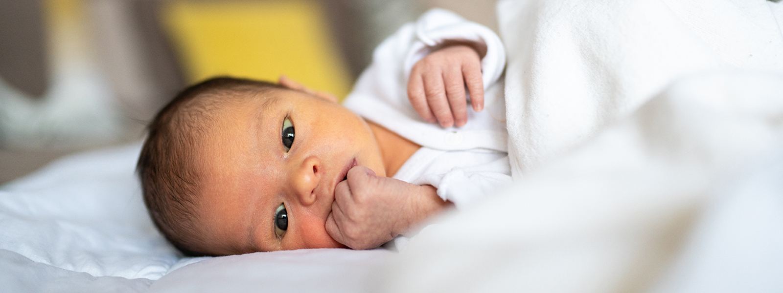 Virtua gedenkteken moeder baby eenheid