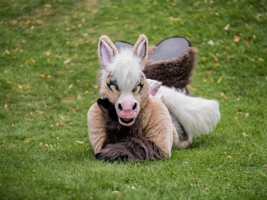 fursuiters