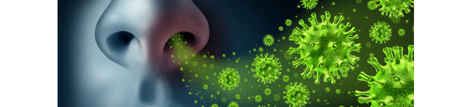 1200 Infographic SARS-CoV-2 vermenigvuldigt in neus en longen