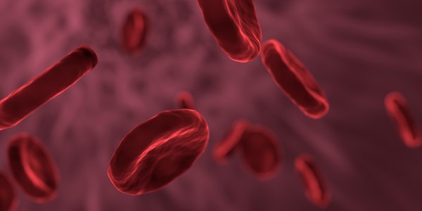 1200 Rode bloedcellen