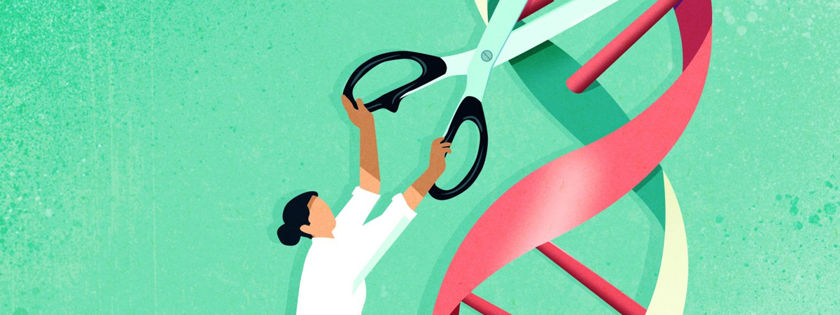 animatie dna knippen