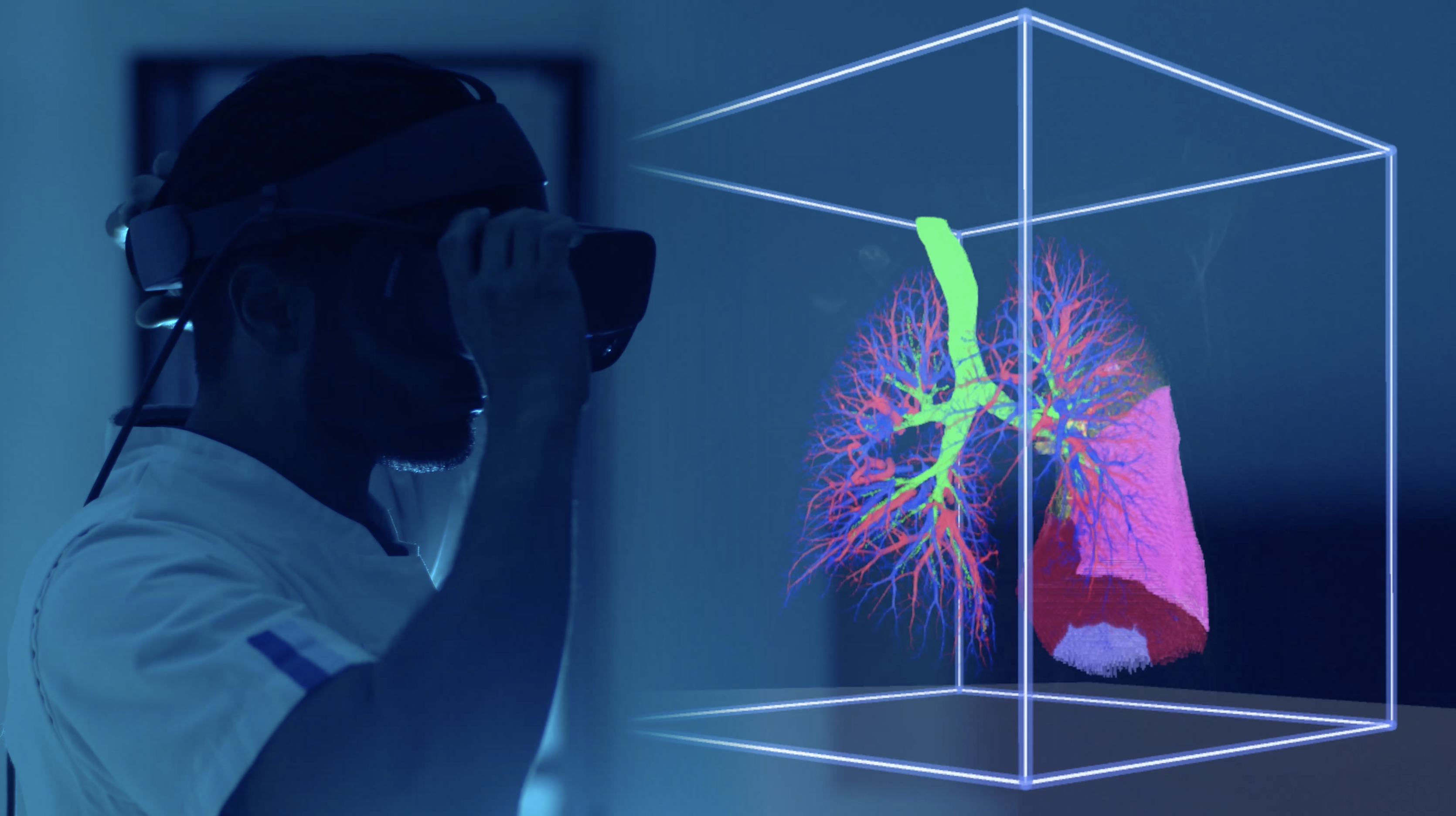 Virtual reality longanatomie