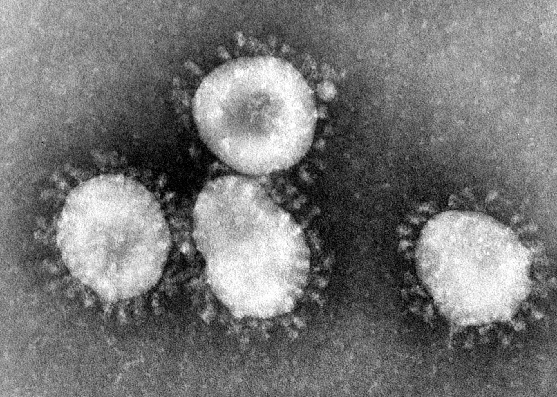 Coronovirus lowres