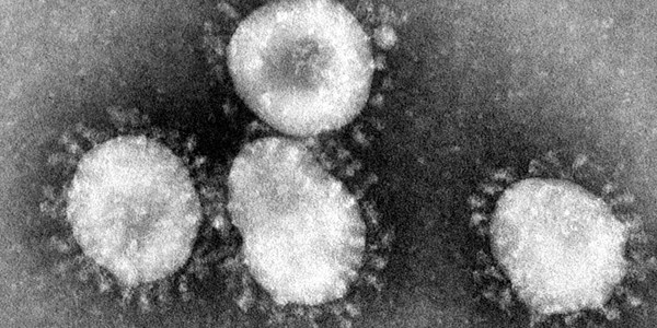 Coronavirus lowres
