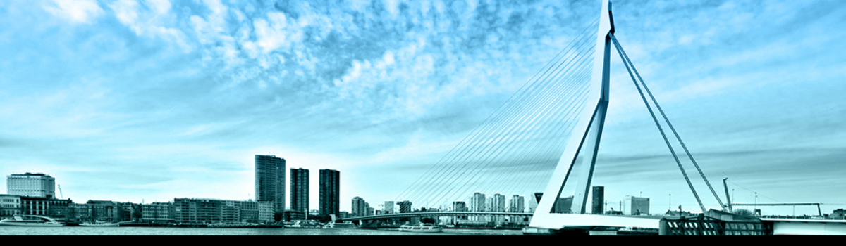 Grafische afbeelding Erasmusbrug