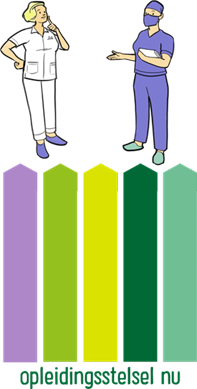 Opleidingsstelsel nu