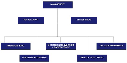 Organogram Erasmus MC Academie