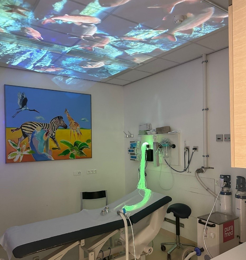 afleidings-en-sedatiekamer