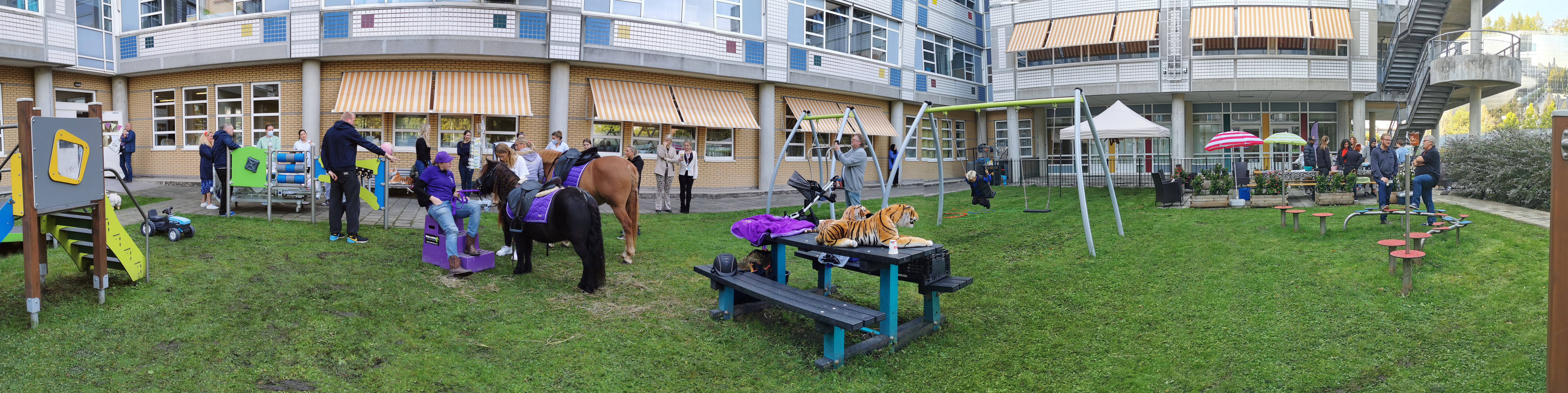 Dierendag 2022 overzicht
