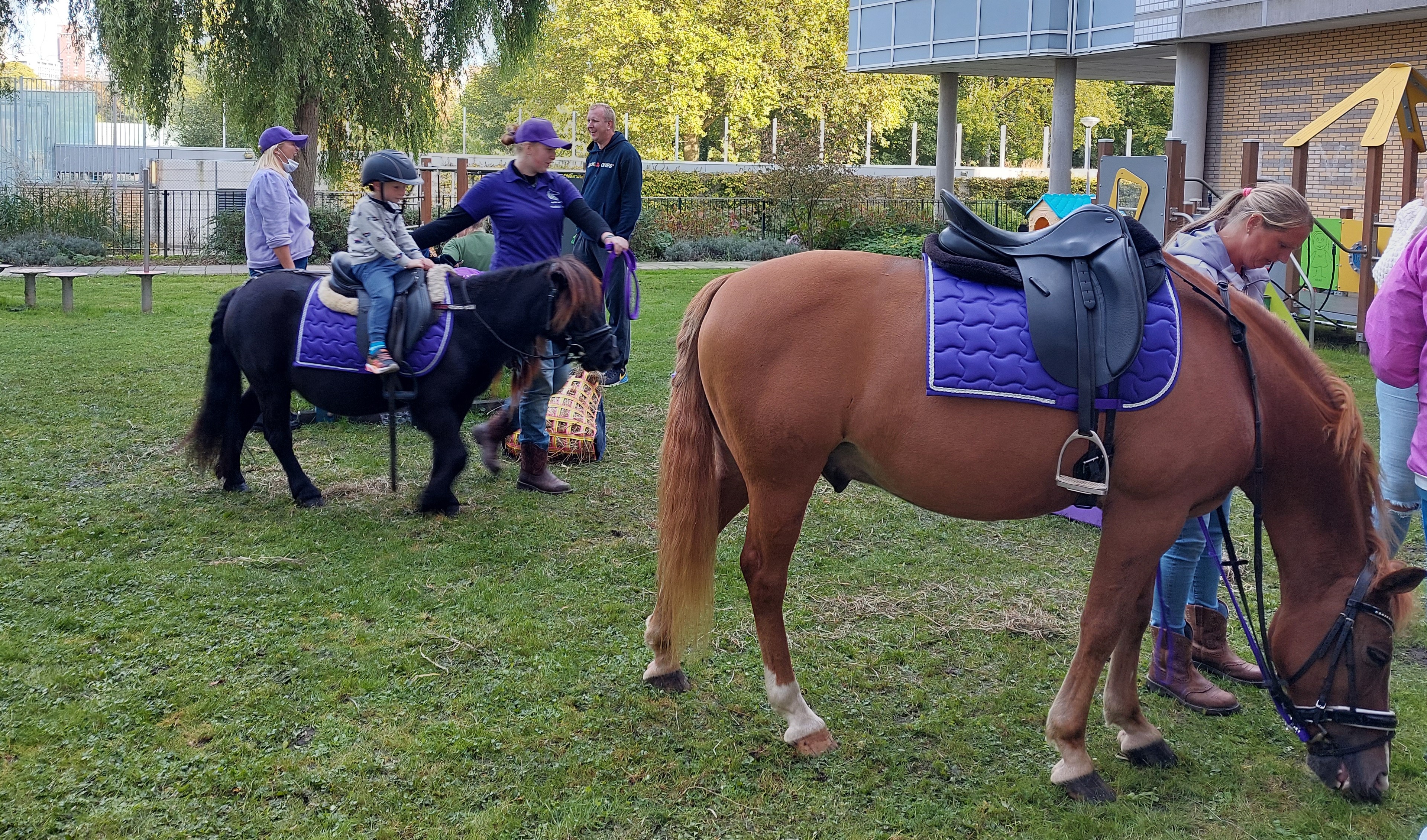 Dierendag paarden