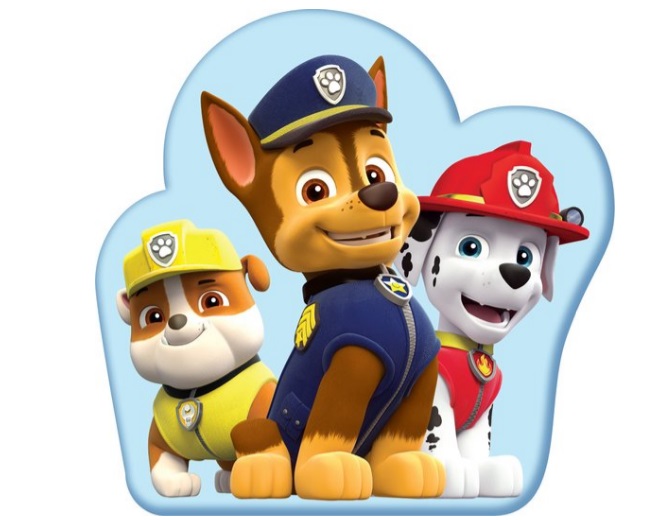 Paw PatrolSophietjes verjaardag