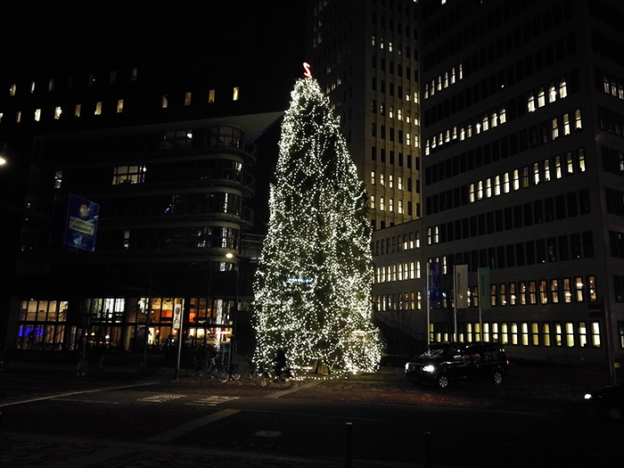 Grote kerstboom bij Sophia