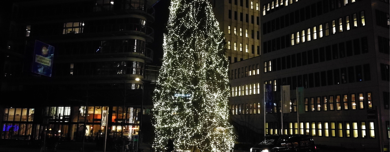 Lichtjes voor Sophia 2018 header