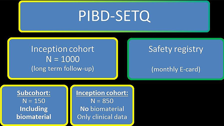 PIBD-SETQ RESEARCH