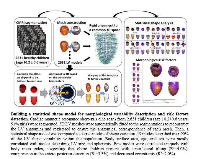 graphical abstract for project 3D geometric models