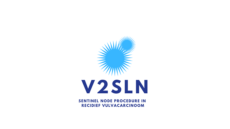 V2SLN logo light blue and dark blue with white background