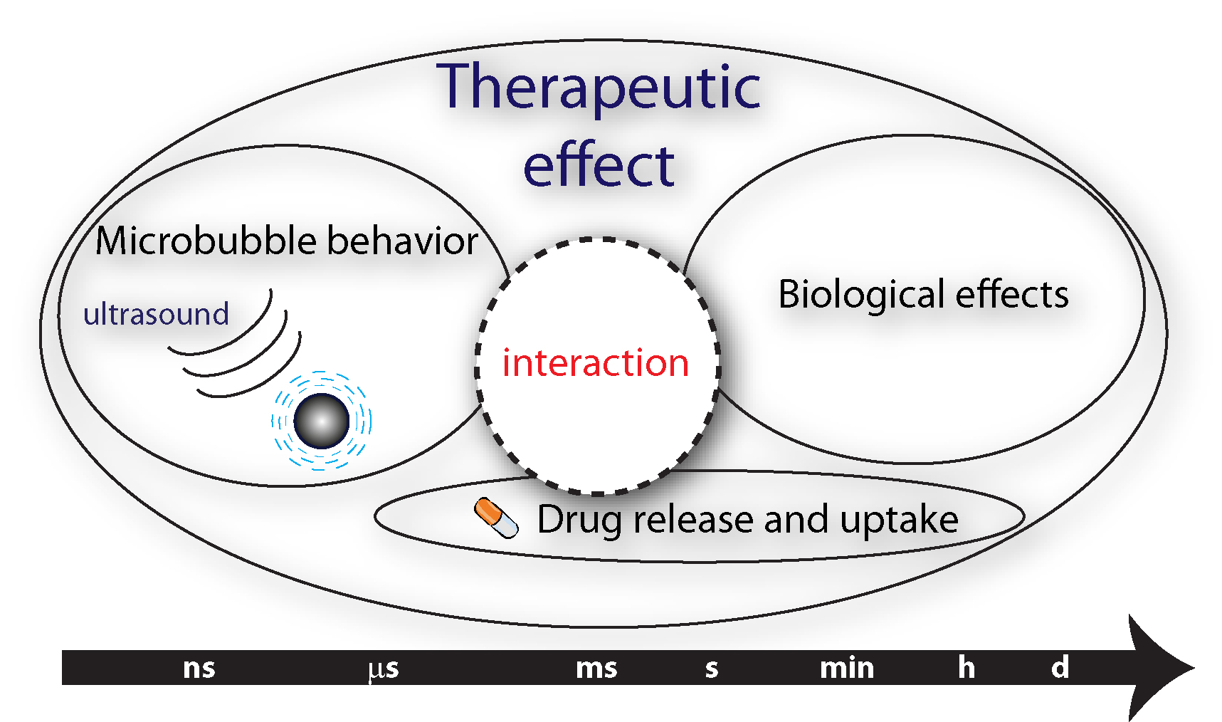 Therapeutic Ultrasound Contrast Agents