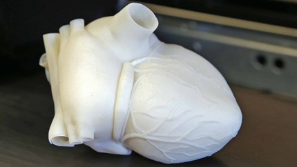 3d Heart model