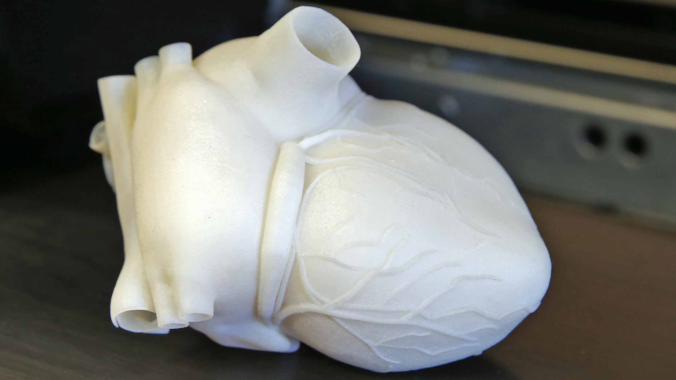 3d Heart model