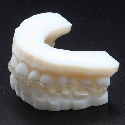 3d print Jaw model
