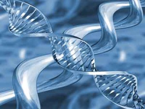 genetics