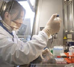 AMIE in the Spotlight