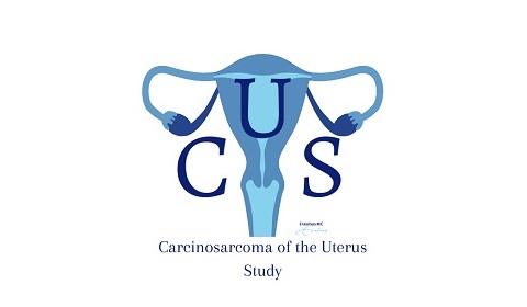 Logo project carcinosarcoma of the uterus Logo project carcinosarcoma of the uterus