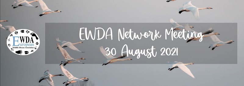 EWDA meeting 2021