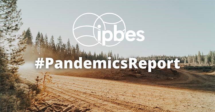 ipbes pandemics