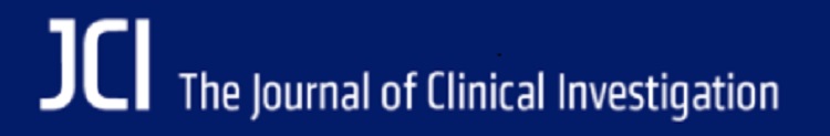 Logo JCI