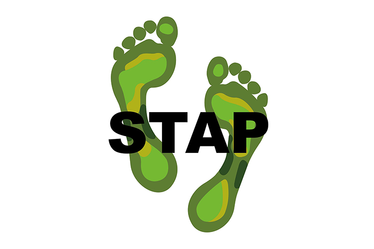 Drawing logo STAP study