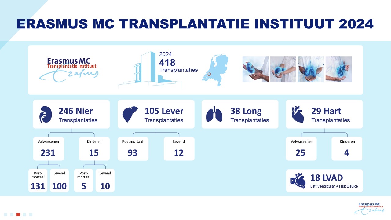 Infographic van de data uit de bovenstaande alinea 'terugblik 2024'